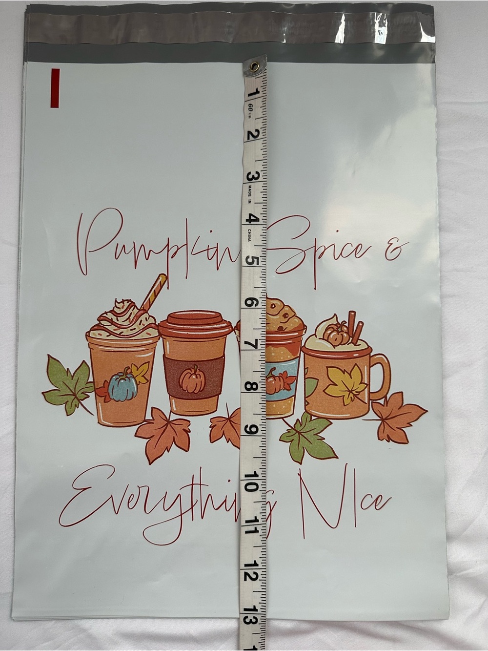 Fall Autumn Poly Mailer Variety Pack 10x13 Pumpkin Spice Happy Fall Hedgehogs - Picture 13 of 14